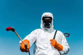 Best Organic or Eco-Friendly Pest Control  in Alva, OK